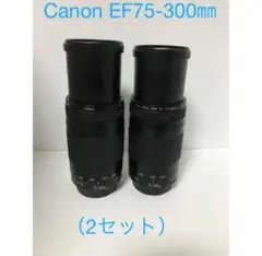 （2セット）大迫力300㎜　イベント　Canon EF75-300㎜