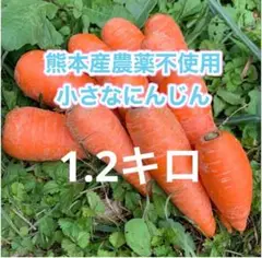 熊本産 農薬不使用小さなにんじん1.2キロキロ