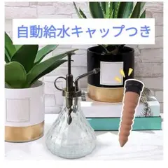 【特価美品】自動給水器 400ml ガラスボトル