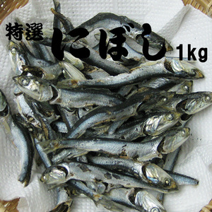 にぼし 1kg (カタクチイワシの煮干し、いりこだし) 国産片口いわし使用のニボシ 栄養満点 特選 にぼし【送料無料】