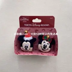 ディズニー ミッキー ミニー リング クリスマス ミキミニ