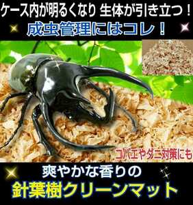 カブトムシ、クワガタの成虫管理はこれが一番！爽やかな香りの針葉樹マット☆ケース内が明るくなり生体が目立ちます！ダニ・コバエ湧かない