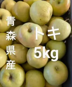 L55　 青森県産りんご　トキ　家庭用　5kg