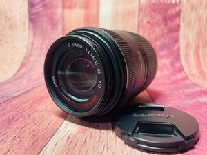 Panasonic G VARIO 1:4-5.6 45-200 LUMIX