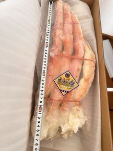 【年末年始発送可能】特大サイズ ボイルたらば蟹　8L (1肩 約1.8kg ) [数9]