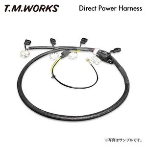 T.M.WORKS ダイレクトパワーハーネスキット ポルテ NCP141 NCP145 1NZ-FE H24.7～ DP1001