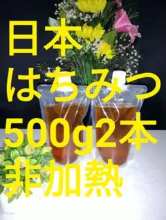 希少！［日本はちみつ］鹿児島県南薩摩養蜂園蜂蜜計1kg喜界島・三島村・トカラ列島