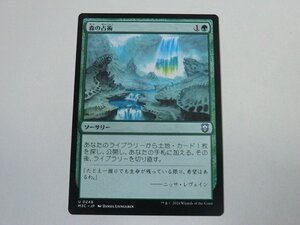 MTG 美品 【森の占術】 （アンコモン） モダンホライゾン3 M3C 日 8枚迄