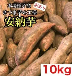 本場鹿児島産 大きめ 安納芋 10kg 訳あり さつまいも99