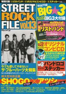 [古本]STREET ROCK FILE vol.15 *ザ・ブルーハーツ 175R @付録付