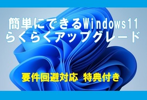 ■要件回避対応!■ 簡単にできる Windows11 らくらくア ッ プ グ レ ー ド ２枚組 特典付き