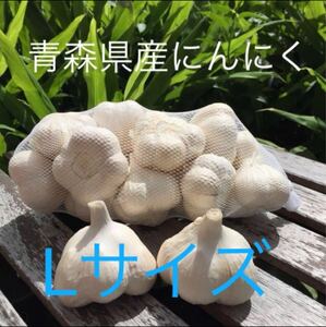 青森県産にんにくLサイズ10キロ