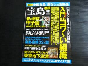 C78)　宝島　05　no.730　特集入門日本のコワ～い組織　A4版 5l6k