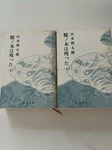 山本周五郎『樅ノ木は残った（全二冊）』（新潮文庫、昭和55/54年、30/29冊）、カバー付。491/555頁。