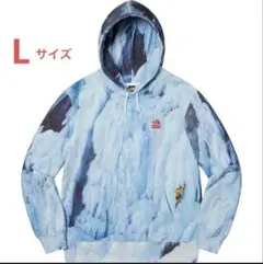 Supreme / TheNorthFace® Ice Climb Hooded