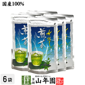 水出し 煎茶 5g×15パック×6袋セット