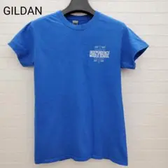 GILDAN　半袖　Tシャツ　アメカジ古着