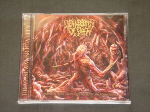 DISFIGUREMENT OF FLESH/HERBARIUM WITH GROTESQUE NECROTIC MALFORMATIONS/スラミング・ブルータル・デス・メタル/SLAMMING BRUTAL DEATH