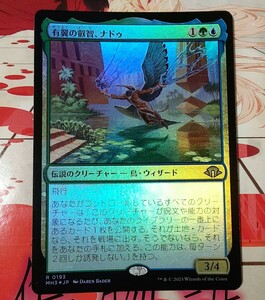 【★Foil 有翼の叡智、ナドゥ 6/7開封品】R 0913 DAREN BADER モダンホライゾン3 MTG レア 日本語 1枚 MH3【未使用美品】