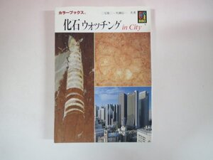 63271■カラーブックス　849　化石ウォッチング in City　保育社