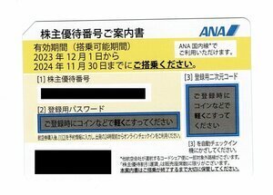 ANA 株主優待券　1枚　有効期限：2024/06/01～2025/05/31　データ通知のみ　入札後のキャンセルは出来ません