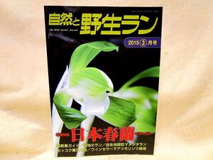 『自然と野生ラン』（２０１５年３月号）日本春蘭