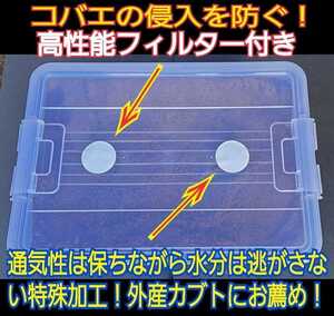 特大ケース付き☆プレミアム発酵マット20L入り☆カブトムシ幼虫を入れるだけ☆便利！大型成虫羽化できます！コバエ防止特殊フィルター付き