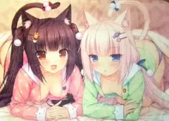 ネコぱら ブランケット ショコラ＆バニラ (さより) NEKO WORKs