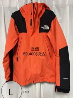 THE NORTH FACE 【GORE-TEX 】ジャケット NP61800