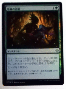 ＭTG日本語/Foil/新緑の再誕/イクサラン/アンコモン