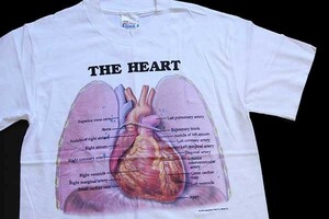 デッドストック★90s Hanes Anatomical Chart Co. THE HEART 人体 臓器 心臓 コットンTシャツ 白 S★オールド ビンテージ 内蔵 解剖図