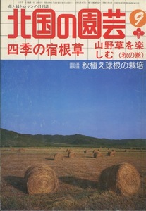 ■北国の園芸　1981.9月号　［特集：四季の宿根草／山野草を楽しむ（秋の巻）］検：原高義・アポイギキョウ