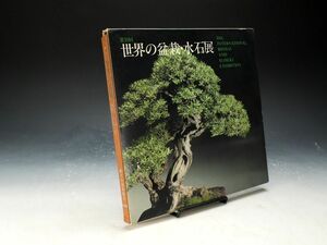 【ISBS】書籍「第10回世界の盆栽・水石展」 真柏 銘「昇天の竜」をはじめ数々の名品を掲載 平成元年7月10日発行[Y2024101801]