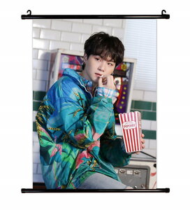 BTS 防弾少年団 SUGA ミン・ユンギ グッズ タベストリー 布ポスター 約41ｃｍ×57ｃｍ (D)