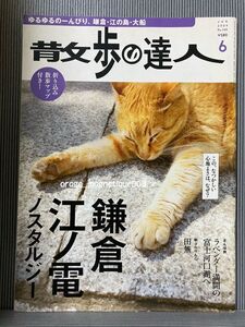 古本 散歩の達人 鎌倉 江ノ島 ノスタルジー☆2009年6月号 雑誌 江の島 大船 本 情報は古いかも