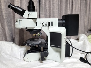 Olympus Fluorescence Microscope BX53