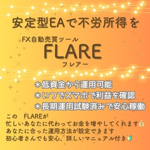 安定型 FX自動売買ツール【FLARE】