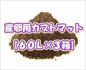 産卵用カブトマット60L【３箱】