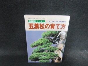 樹種別シリーズ1　五葉松の育て方/ECE