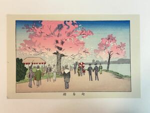 111 真作 井上安治 『 向島桜 』 木版画 光線画 浮世絵 東京真画名所図解 検索) woodblock print 小林清親 川瀬巴水 葛飾北斎 吉田博