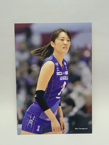 山口舞　ポストカード　バレーボール日本代表　V.LEAGUE DIVISION1　岡山シーガルズ　スポーツ　グッズ　ユメ　パール　オリンピック選手