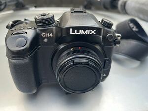 Panasonic デジタルカメラ GH4