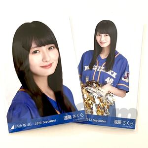 《乃木坂46》公式グッズ 2枚 セミコンプ 遠藤さくら　ヨリチュウ　2023年9月月間ランダム　ベースボールシャツ2023 2023.September