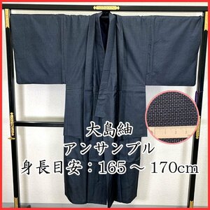 ◇きものマーチ◇紳士 大島紬 鈴乃屋 亀甲文 着物アンサンブル 着物&羽織 正絹 男性用 男物◇美品 404md3