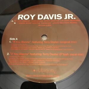 【LP】Roy davis jr. / if you wanna 12インチ