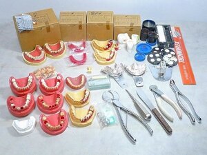 8017B04*12A▲歯科模型・歯科技工器具等まとめ売り・DENTAL STUDY MODEL/デンタルスタディモデル・歯周病 顎型 スケーリング