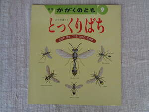 月刊 かがくのとも 1989年9月(通巻246号)　「とっくりばち：どろで す をつくる はちの なかま」　