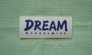 【代表】DREAM～夢があるから強くなる～ロゴ[ホワイト] 3/日本代表JFA