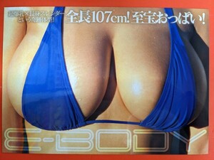 ◆ミニポスター◆　深田ナナ　E-BODY Kcup神ボディ　◆A4サイズ 210×297mm両面印刷◆　　