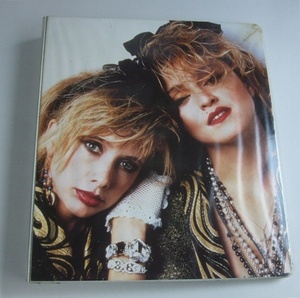 VINTAGE 80s 当時物 Madonna 映画 マドンナのスーザンを探して Desperately Seeking Susan バインダー 中古品 ロック ポップ　